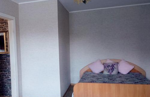 Taurage Apartment | Vieno kambario butas Gedimino g.
