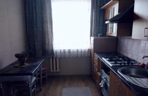 Taurage Apartment | Vieno kambario butas Gedimino g.