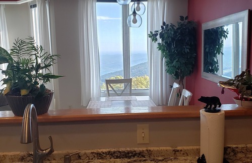 Chestnut Springs Condo | View from the Top