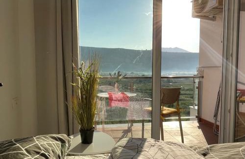 Shengjin Apartment | View of flamingos