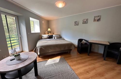 Uulu Apartment | Viisnurga Puhkemajad