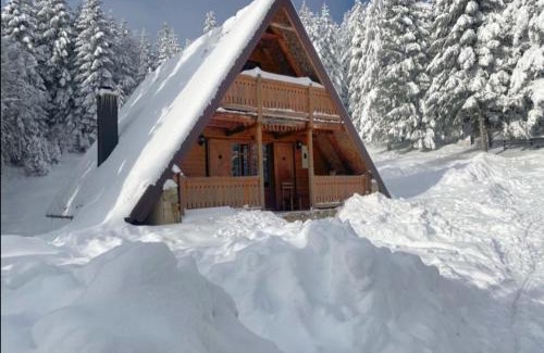 Beserovina House | Vikendica Tarsko srce S
