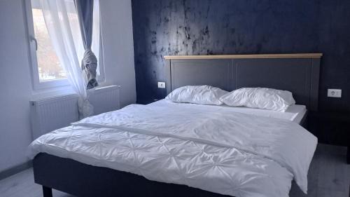 Valiug House | Vila Amadark