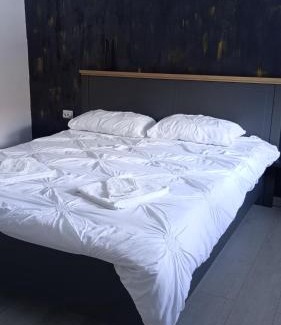 Valiug House | Vila Amadark
