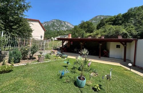 Baile Herculane House | VILA ANA
