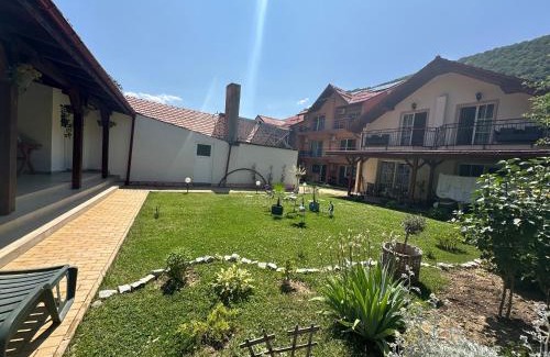 Baile Herculane House | VILA ANA
