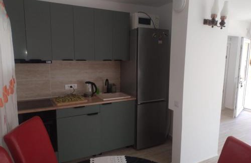 Techirghiol Villa | Vila Ani
