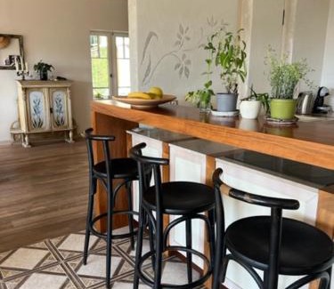 Jablonec nad Nisou Apartment | Vila Bellevue