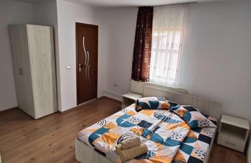 Tarcau Bed & Breakfast | Vila Carmen