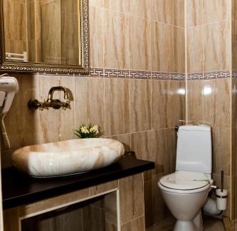 Hunedoara Hotel | VILA Corviniana