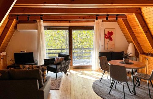 Mladenovac Apartment | Vila Eden Rudnik