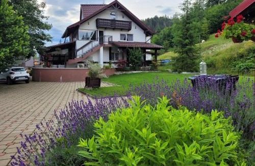 Gura Humorului Villa | Vila Flory Voronet