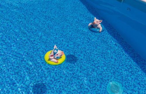 Galovac Villa | Vila Gallo