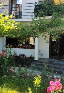 Baile Herculane House | Vila Geany