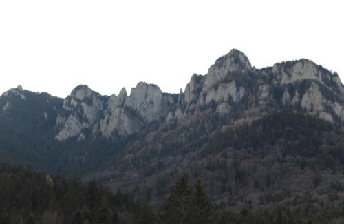 Bicaz House | Vila Gloria