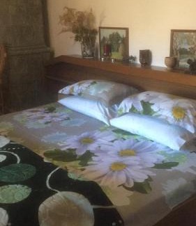 Caciulata House | Vila Licurici