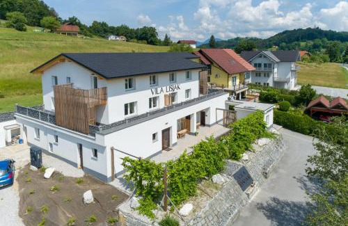 Podcetrtek Apartment | VILA LISJAK - Apartments