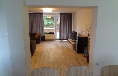 Velke Losiny Villa | Vila Lom