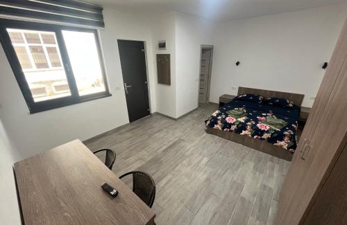 Lugoj House | Vila Nei