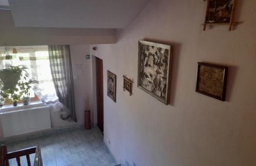 Borsec House | Vila Riki