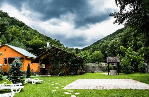 Bosorod House | Vila Sara