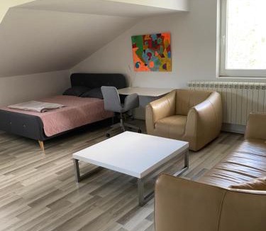 Smederevo Villa | Vila Sunset Jugovo
