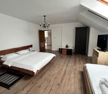 Toplita House | Vila TeoNa