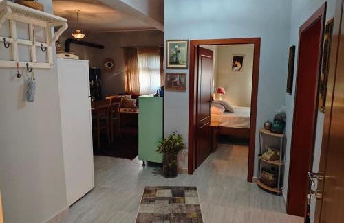 Pogradec House | Vila Topalli