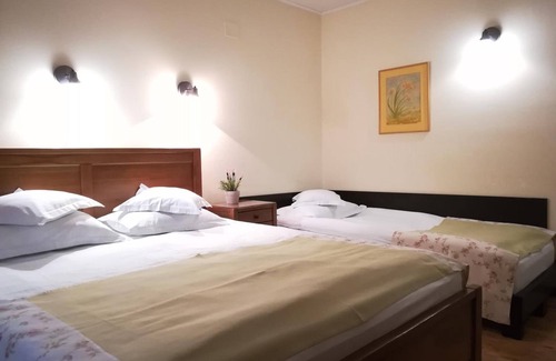 Otopeni Hotel | Vila Toparceanu