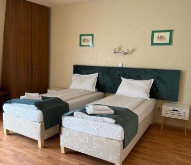 Hateg House | Vila Veche