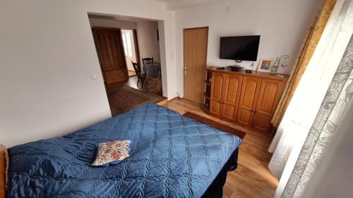 Piatra Fantanele House | Vila Zenyt