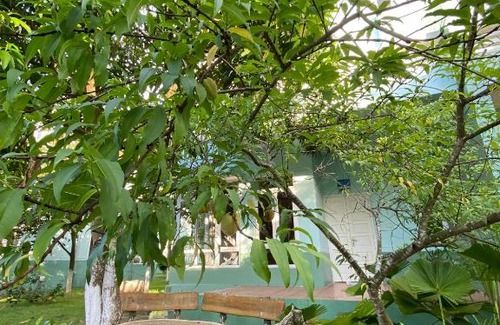 Hoang Hoa Villa | Villa 108, 303 - Eureka Linh Trường