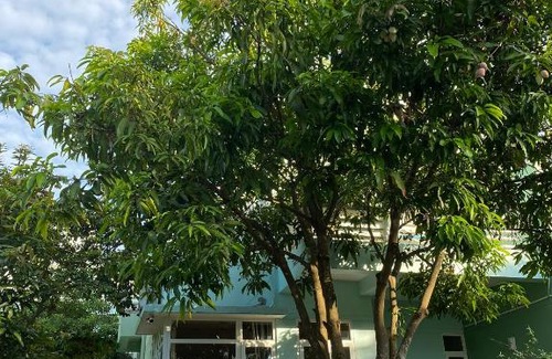 Hoang Hoa Villa | Villa 108, 303 - Eureka Linh Trường