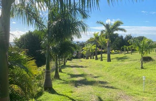 Riviere-Salee Villa | Villa 2 de standing 80m2 avec vue imprenable sur la mer et sur la campagne