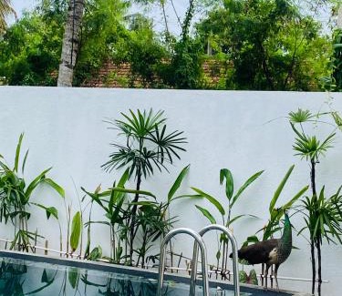 Polhena Villa | Villa 2A