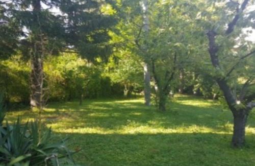 Piamaggio House | Villa Al Bosco