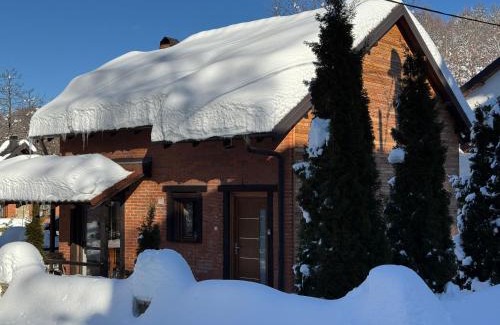 Brezovice Villa | Villa Alpina Brezovice