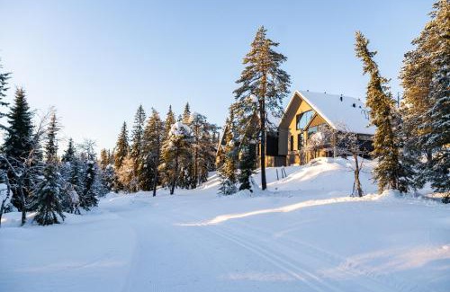 Syote Apartment | Villa Alppisyöte