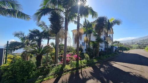 Sao Jorge House | Villa Alta Vista