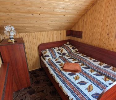 Geoagiu Villa | Villa ALVIK