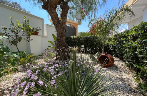 Sava Villa | Villa Alyson