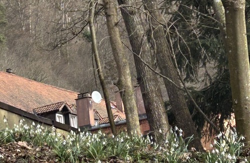 Wurm Villa | Villa am Fluss