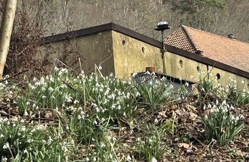 Wurm Villa | Villa am Fluss
