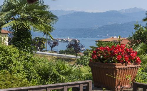 Carciano Villa | Villa Angela