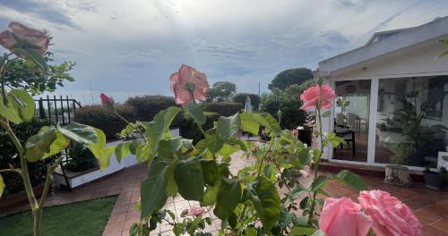 Mortelle Villa | Villa Anna