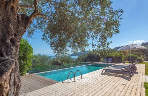 Chlomos Villa | Villa Apanemia Mare