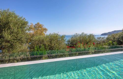 Chlomos Villa | Villa Apanemia Mare