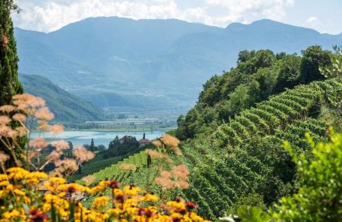 Caldaro Sulla Strada del Vino Cabin | Villa Barleit
