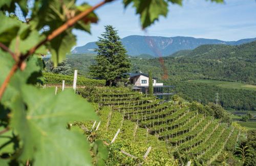 Caldaro Sulla Strada del Vino Cabin | Villa Barleit