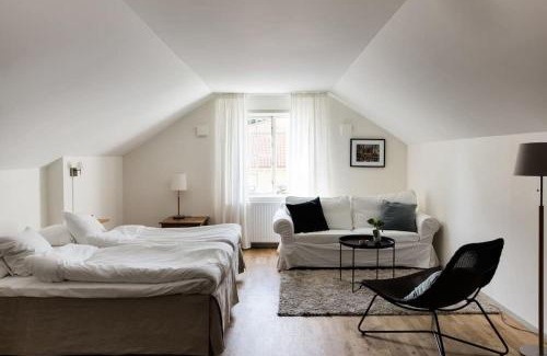 Atvidaberg Hotel | Villa Baro